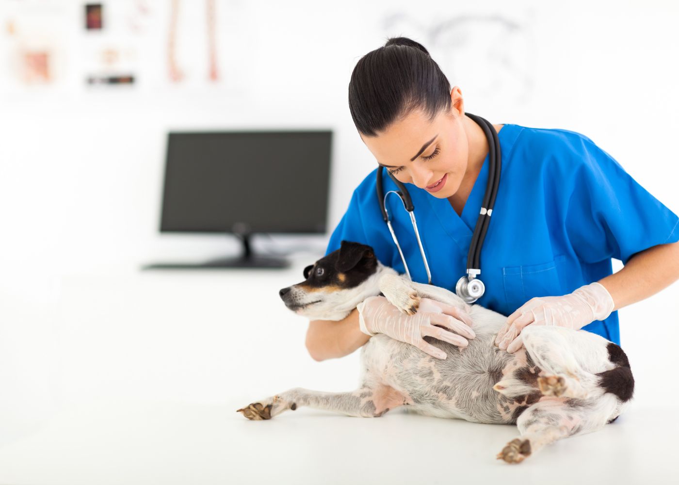 Comment trouver une formation professionnelle en ostéopathie ?