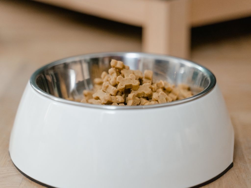 Combien dois-je dépenser pour des croquette chien sans cereales ?